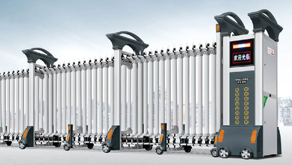 歐羅寶盾-221503-C2